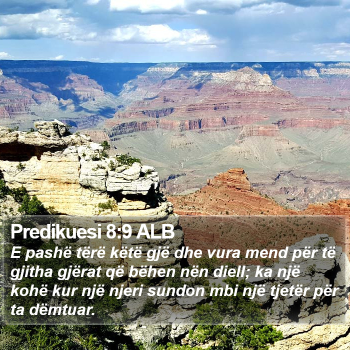 Predikuesi 8:9 ALB Bible Study