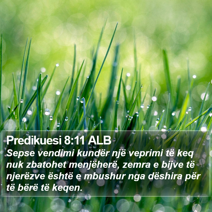 Predikuesi 8:11 ALB Bible Study