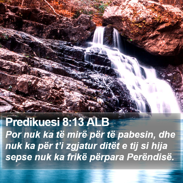Predikuesi 8:13 ALB Bible Study