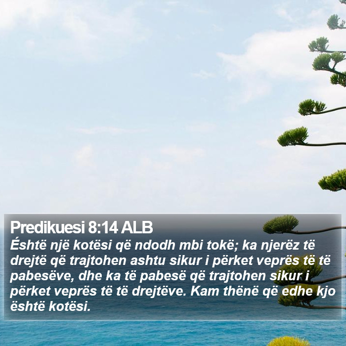 Predikuesi 8:14 ALB Bible Study