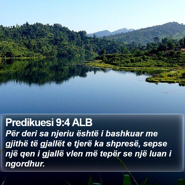 Predikuesi 9:4 ALB Bible Study