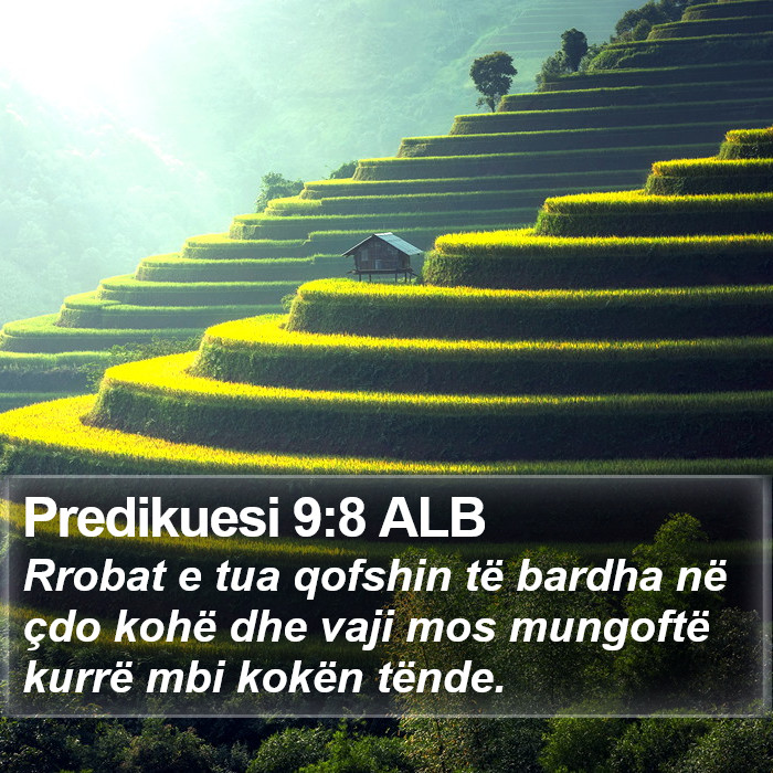 Predikuesi 9:8 ALB Bible Study