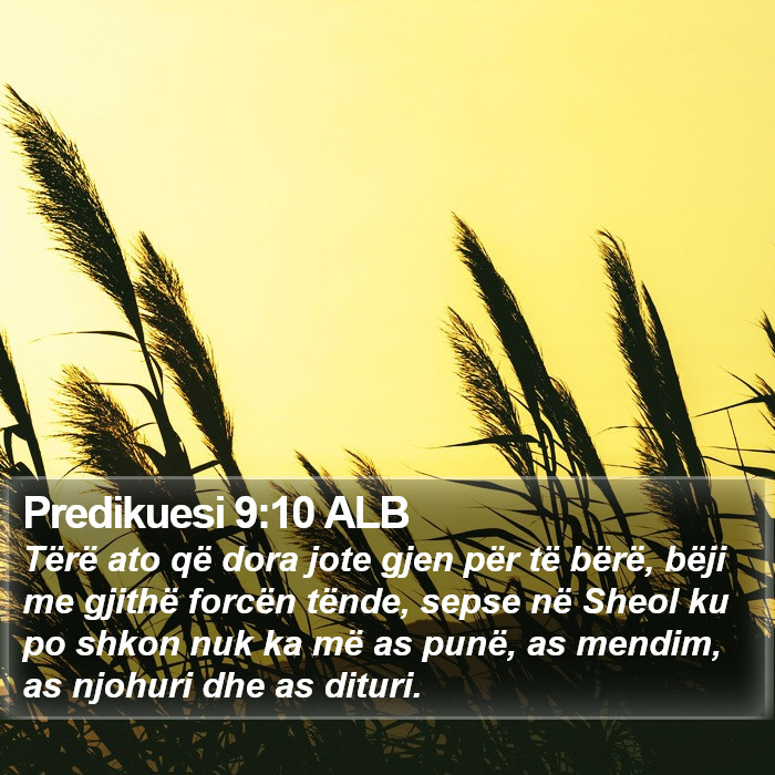 Predikuesi 9:10 ALB Bible Study