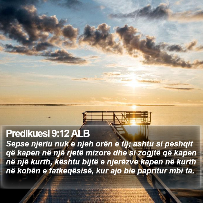 Predikuesi 9:12 ALB Bible Study