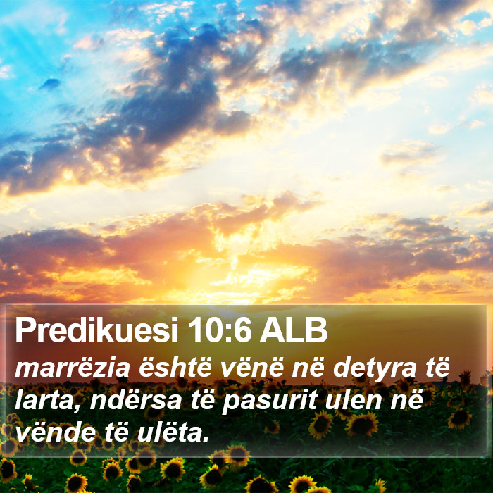 Predikuesi 10:6 ALB Bible Study