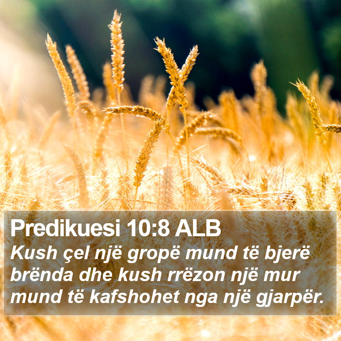 Predikuesi 10:8 ALB Bible Study