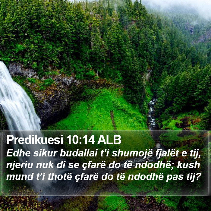 Predikuesi 10:14 ALB Bible Study