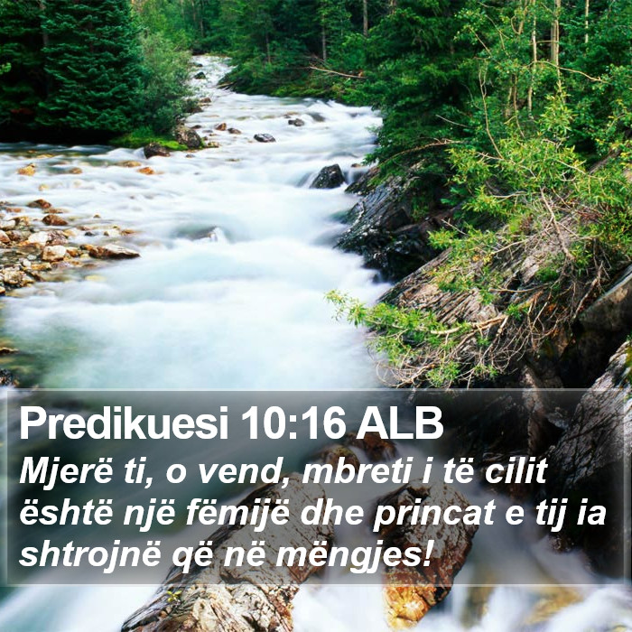 Predikuesi 10:16 ALB Bible Study