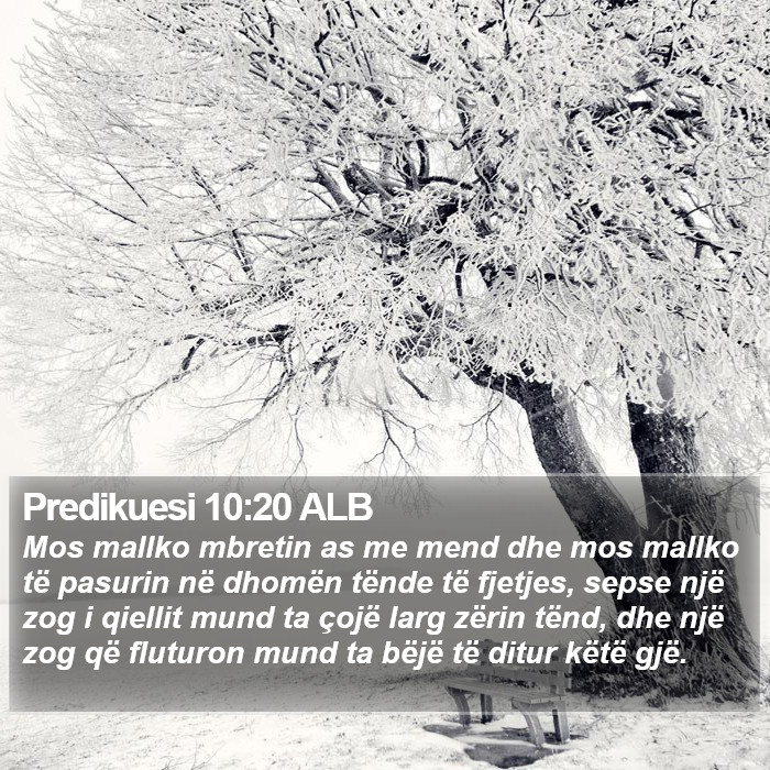 Predikuesi 10:20 ALB Bible Study