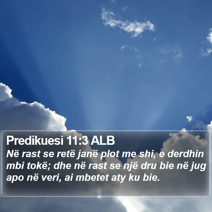 Predikuesi 11:3 ALB Bible Study