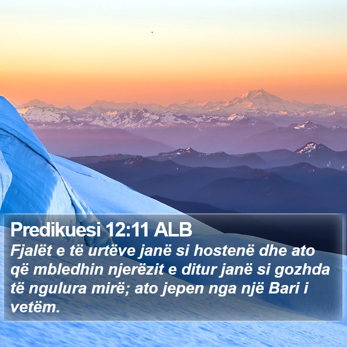 Predikuesi 12:11 ALB Bible Study