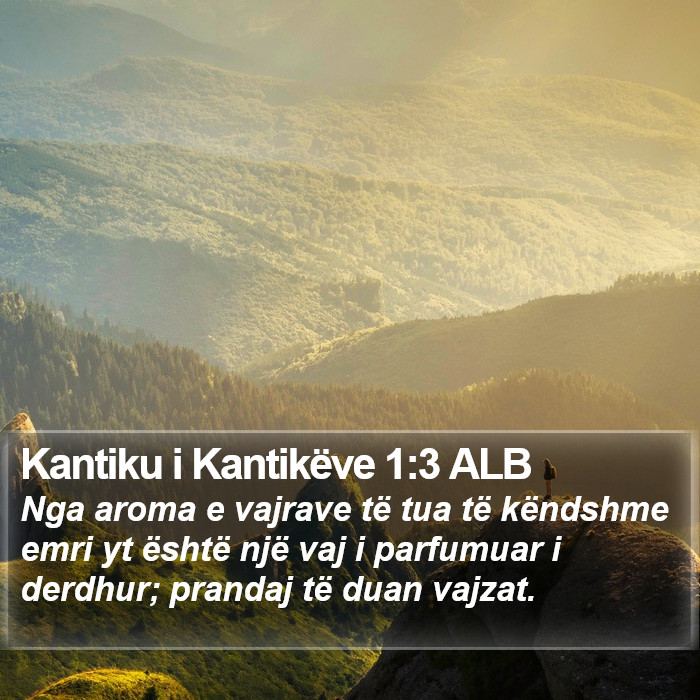 Kantiku i Kantikëve 1:3 ALB Bible Study