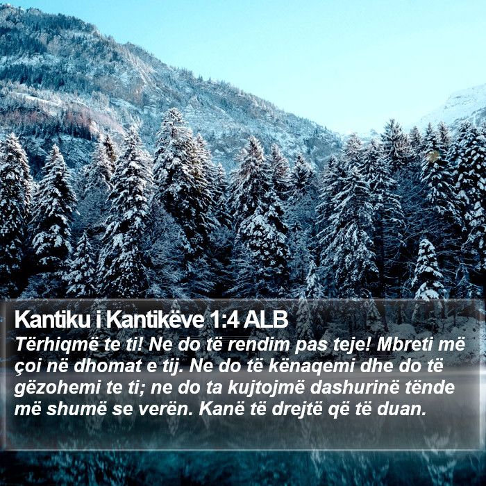 Kantiku i Kantikëve 1:4 ALB Bible Study