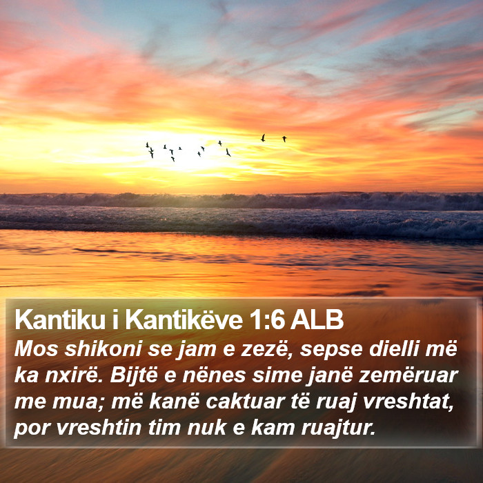 Kantiku i Kantikëve 1:6 ALB Bible Study