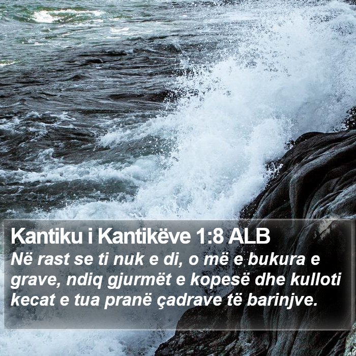 Kantiku i Kantikëve 1:8 ALB Bible Study