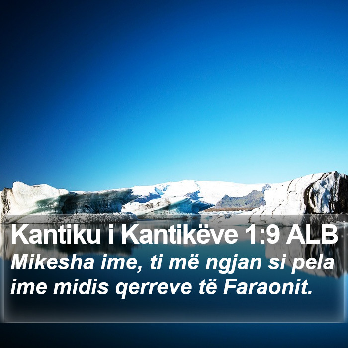 Kantiku i Kantikëve 1:9 ALB Bible Study