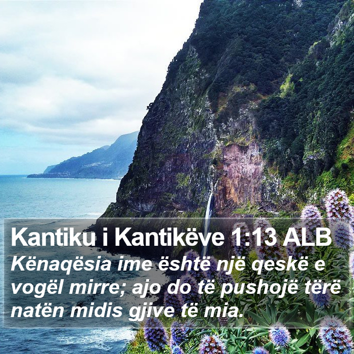 Kantiku i Kantikëve 1:13 ALB Bible Study