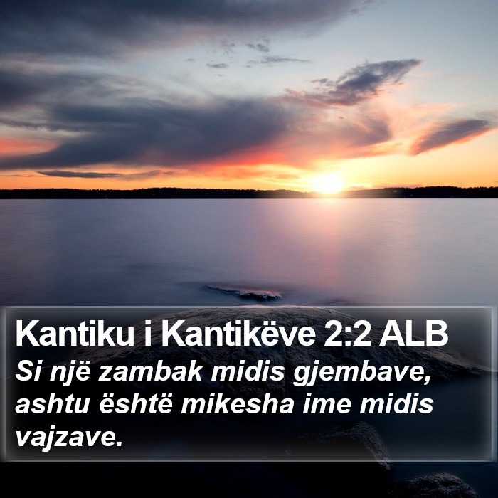 Kantiku i Kantikëve 2:2 ALB Bible Study