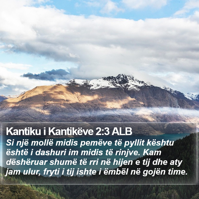 Kantiku i Kantikëve 2:3 ALB Bible Study