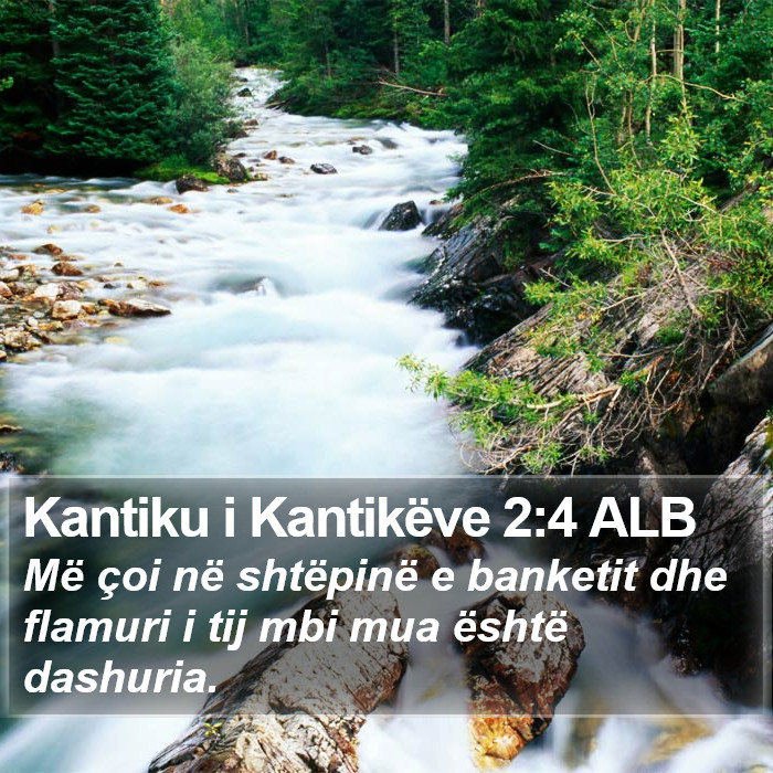 Kantiku i Kantikëve 2:4 ALB Bible Study