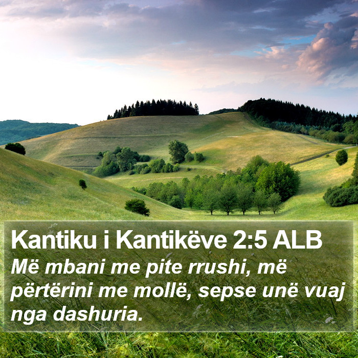 Kantiku i Kantikëve 2:5 ALB Bible Study