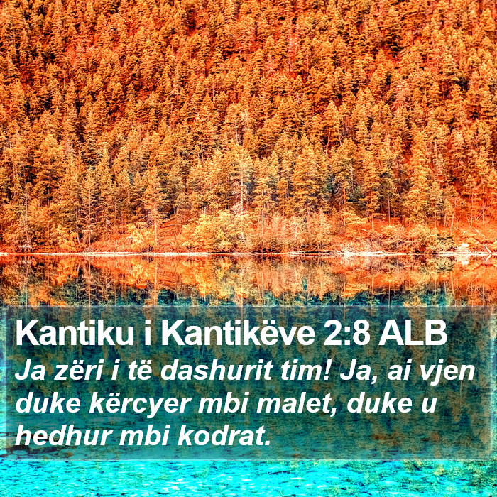 Kantiku i Kantikëve 2:8 ALB Bible Study