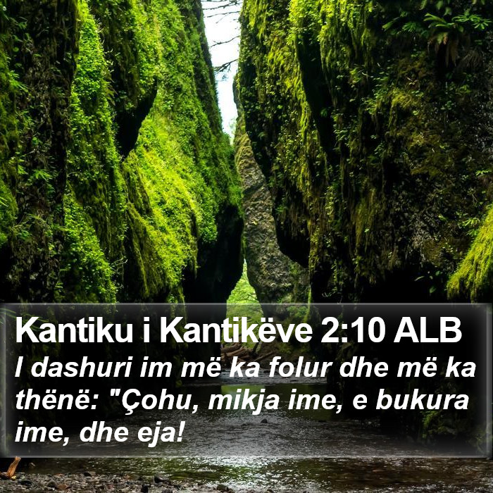 Kantiku i Kantikëve 2:10 ALB Bible Study