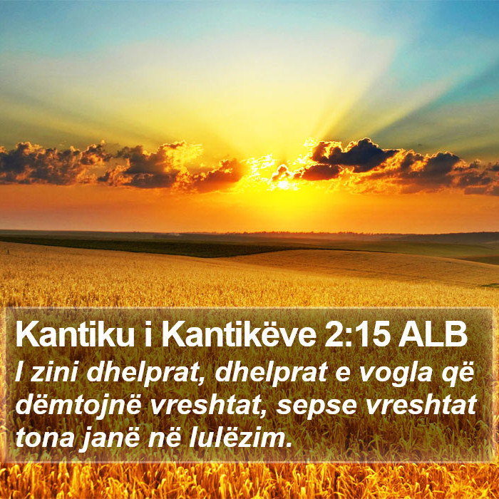 Kantiku i Kantikëve 2:15 ALB Bible Study