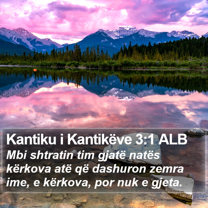 Kantiku i Kantikëve 3:1 ALB Bible Study