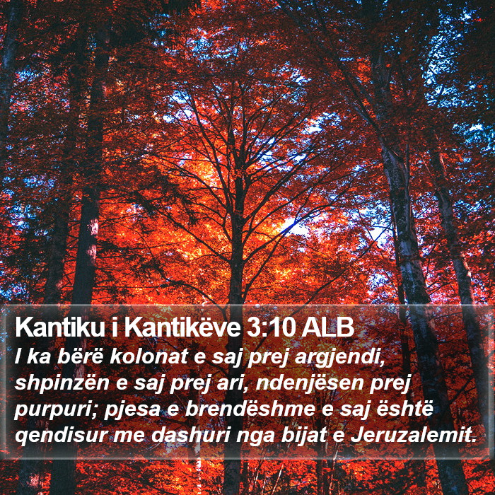 Kantiku i Kantikëve 3:10 ALB Bible Study