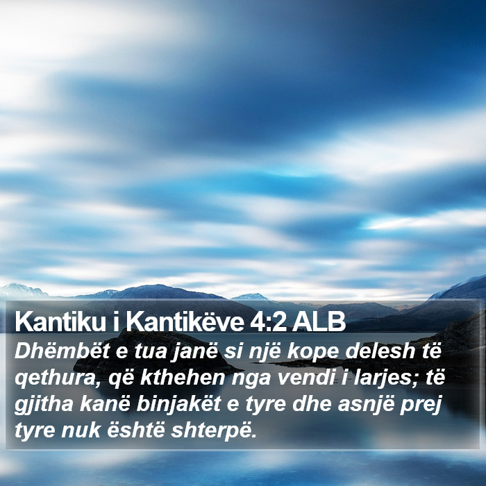 Kantiku i Kantikëve 4:2 ALB Bible Study