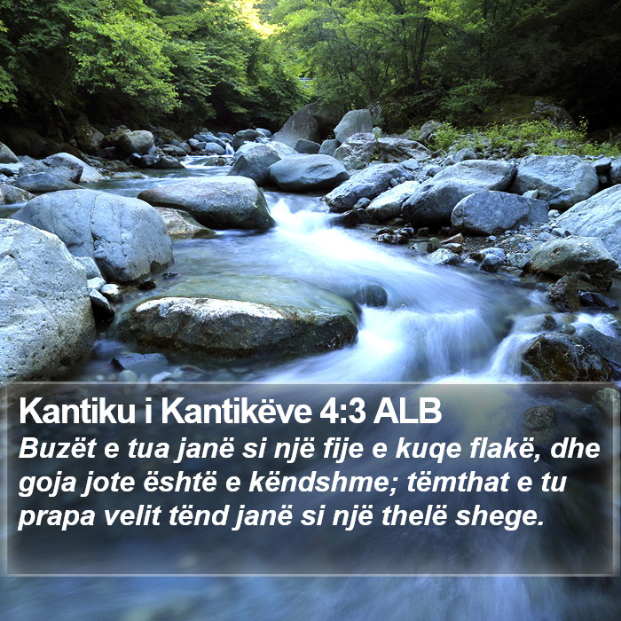 Kantiku i Kantikëve 4:3 ALB Bible Study