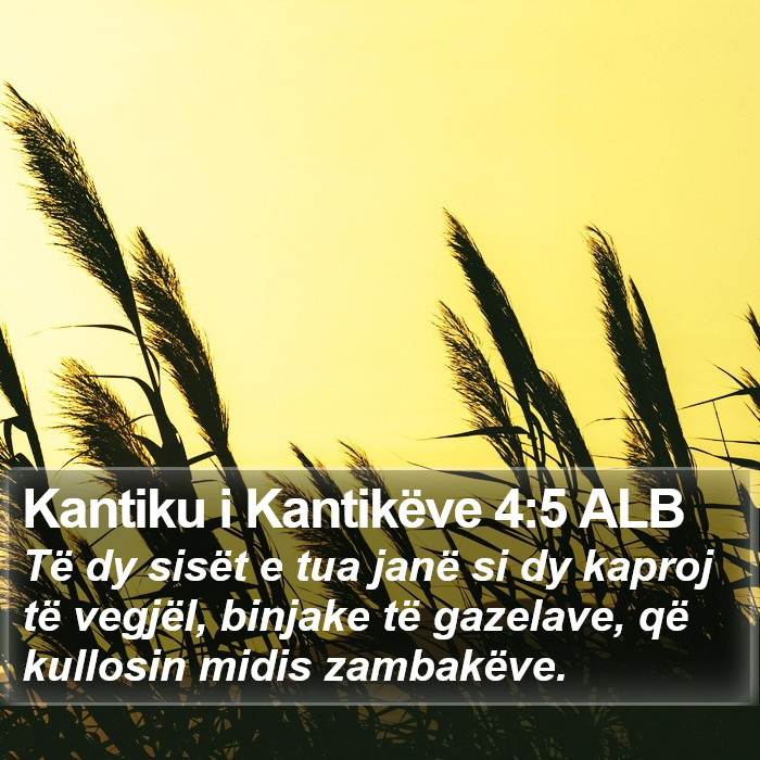 Kantiku i Kantikëve 4:5 ALB Bible Study