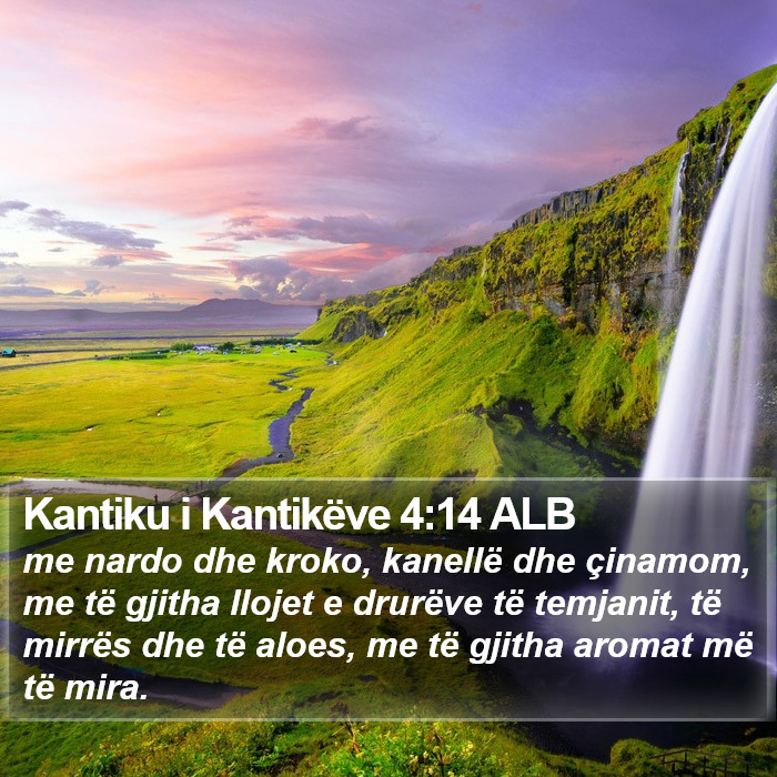 Kantiku i Kantikëve 4:14 ALB Bible Study
