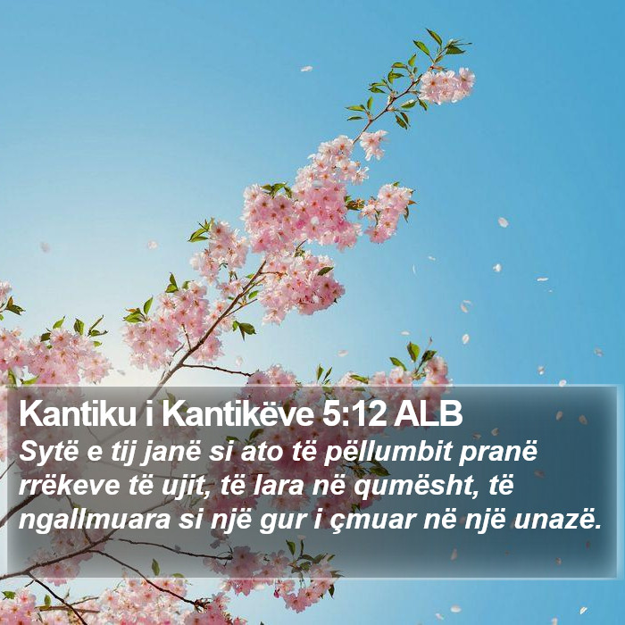 Kantiku i Kantikëve 5:12 ALB Bible Study