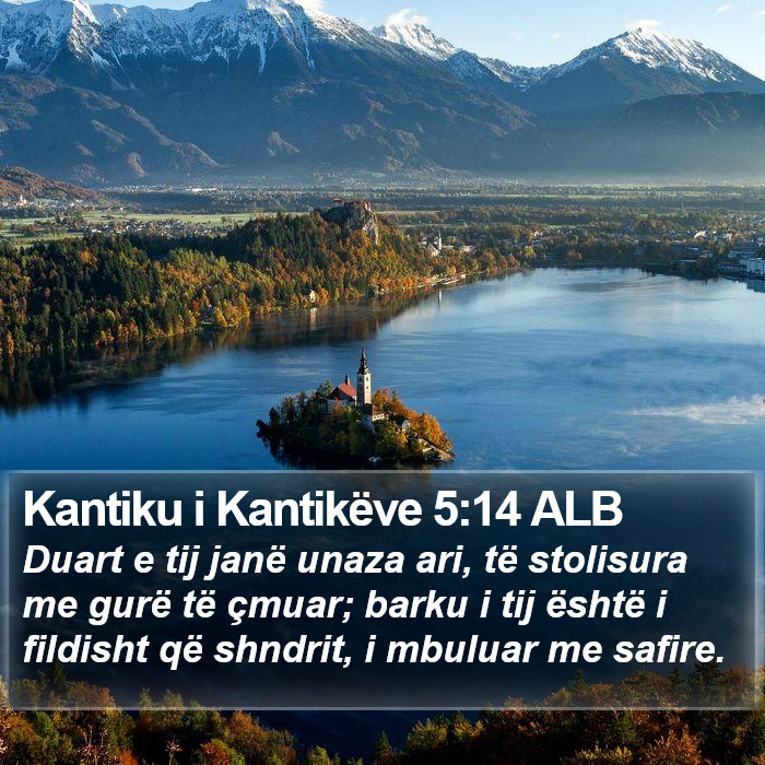 Kantiku i Kantikëve 5:14 ALB Bible Study