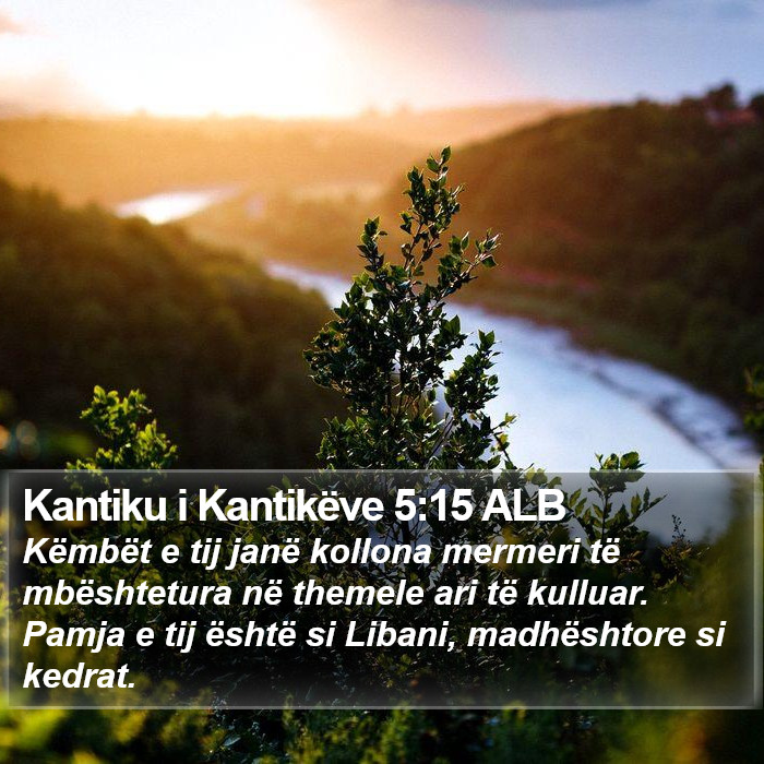 Kantiku i Kantikëve 5:15 ALB Bible Study