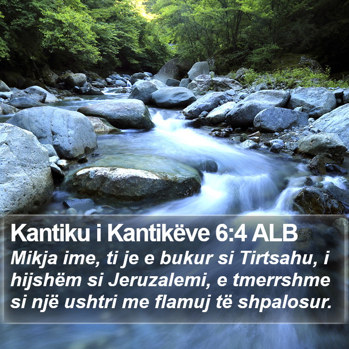 Kantiku i Kantikëve 6:4 ALB Bible Study