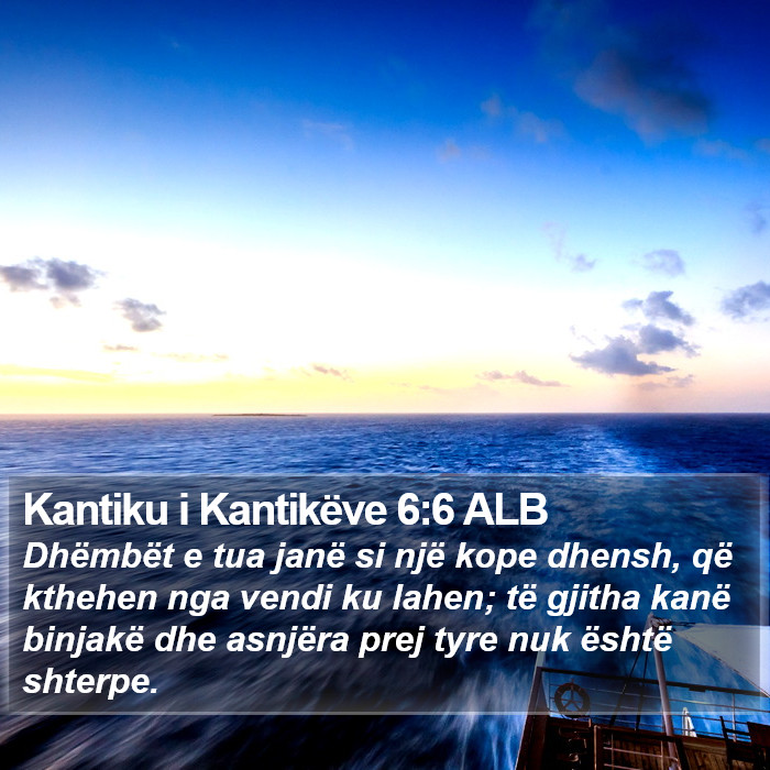 Kantiku i Kantikëve 6:6 ALB Bible Study