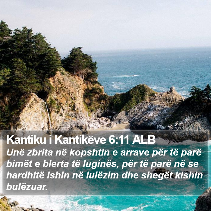 Kantiku i Kantikëve 6:11 ALB Bible Study