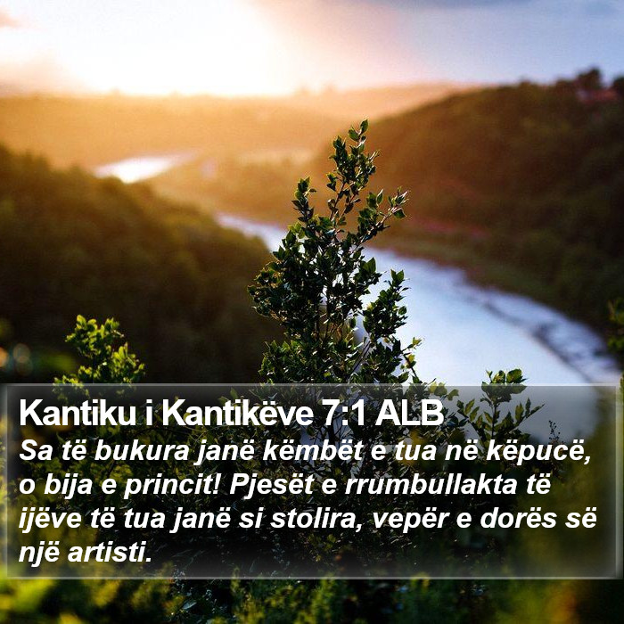 Kantiku i Kantikëve 7:1 ALB Bible Study