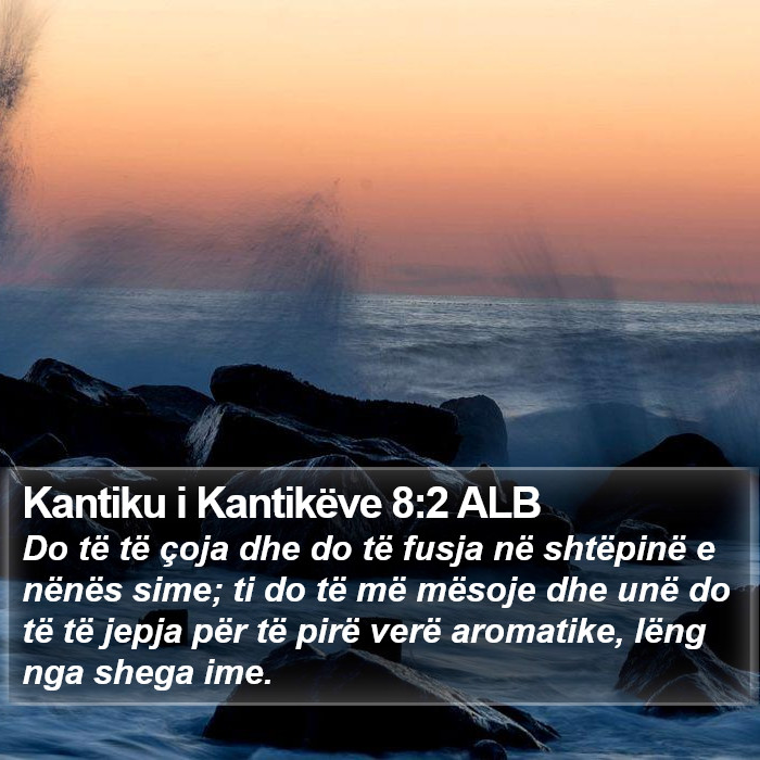 Kantiku i Kantikëve 8:2 ALB Bible Study
