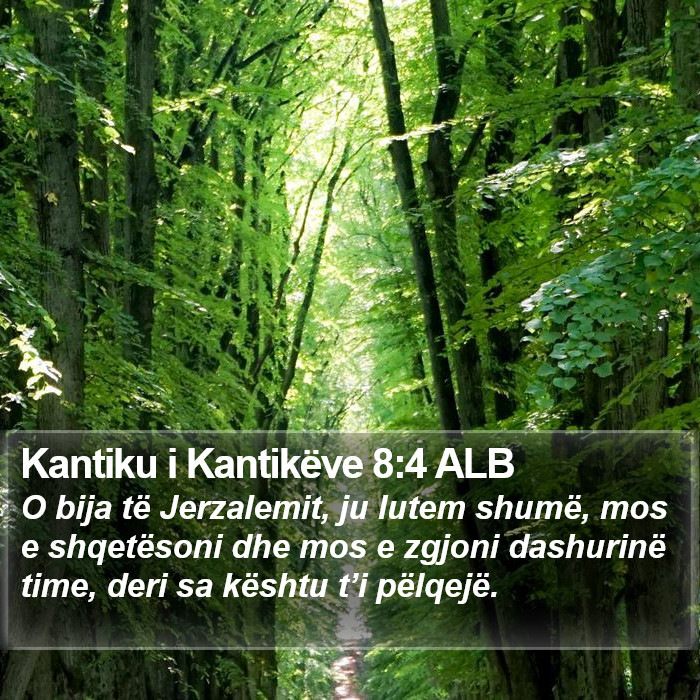 Kantiku i Kantikëve 8:4 ALB Bible Study