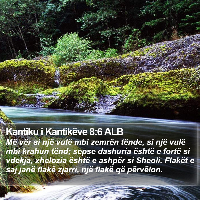 Kantiku i Kantikëve 8:6 ALB Bible Study