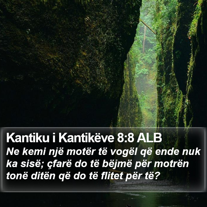 Kantiku i Kantikëve 8:8 ALB Bible Study