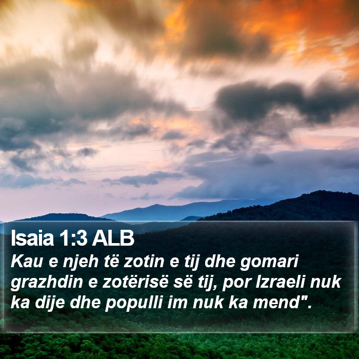 Isaia 1:3 ALB Bible Study