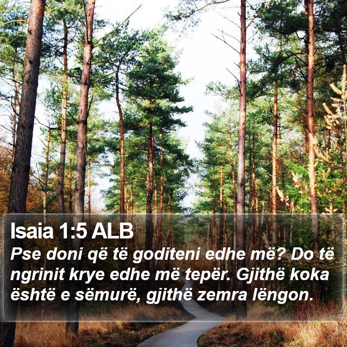 Isaia 1:5 ALB Bible Study