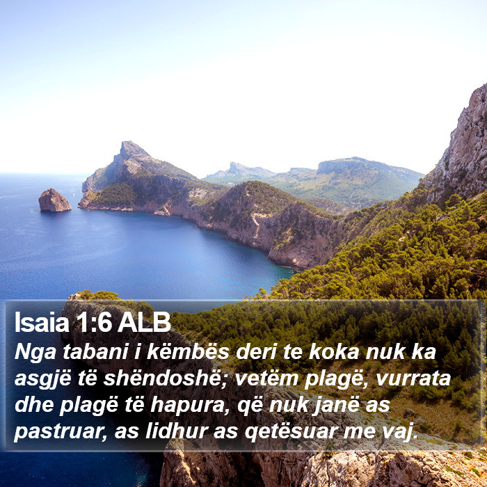 Isaia 1:6 ALB Bible Study