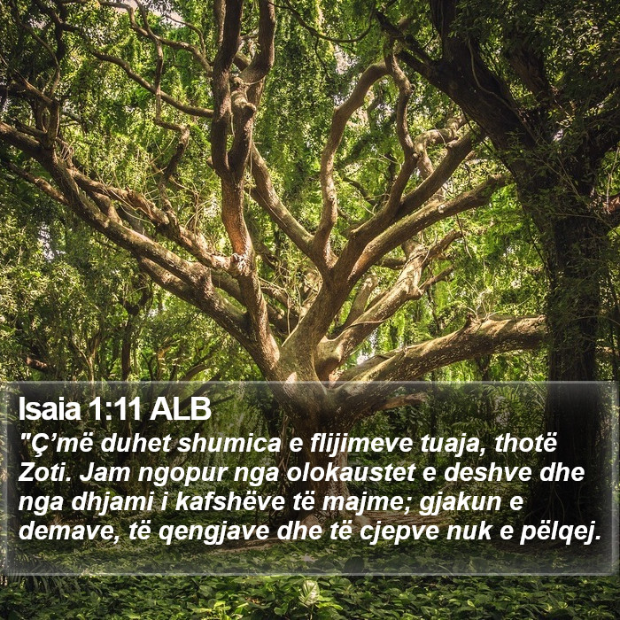 Isaia 1:11 ALB Bible Study