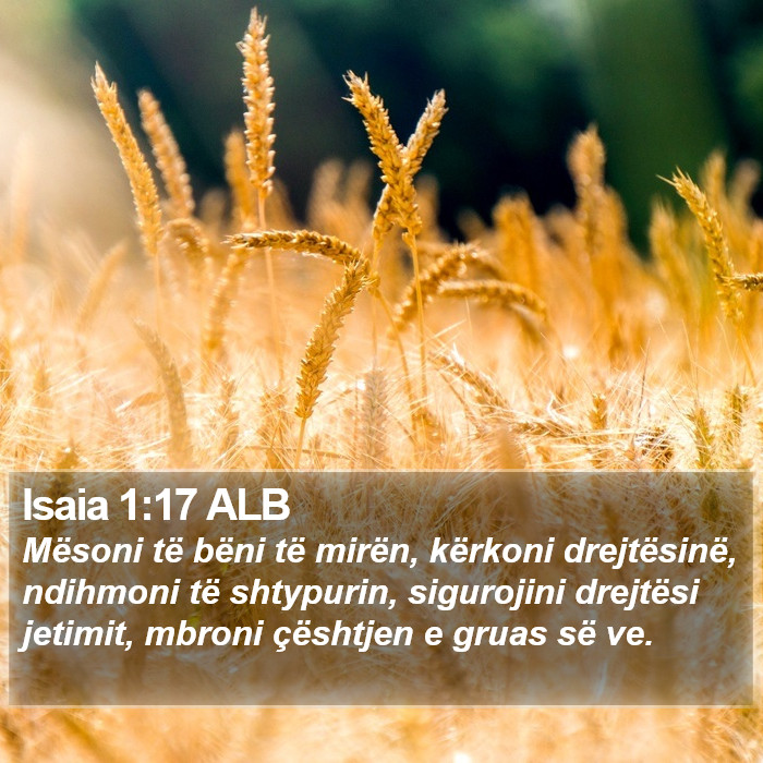 Isaia 1:17 ALB Bible Study